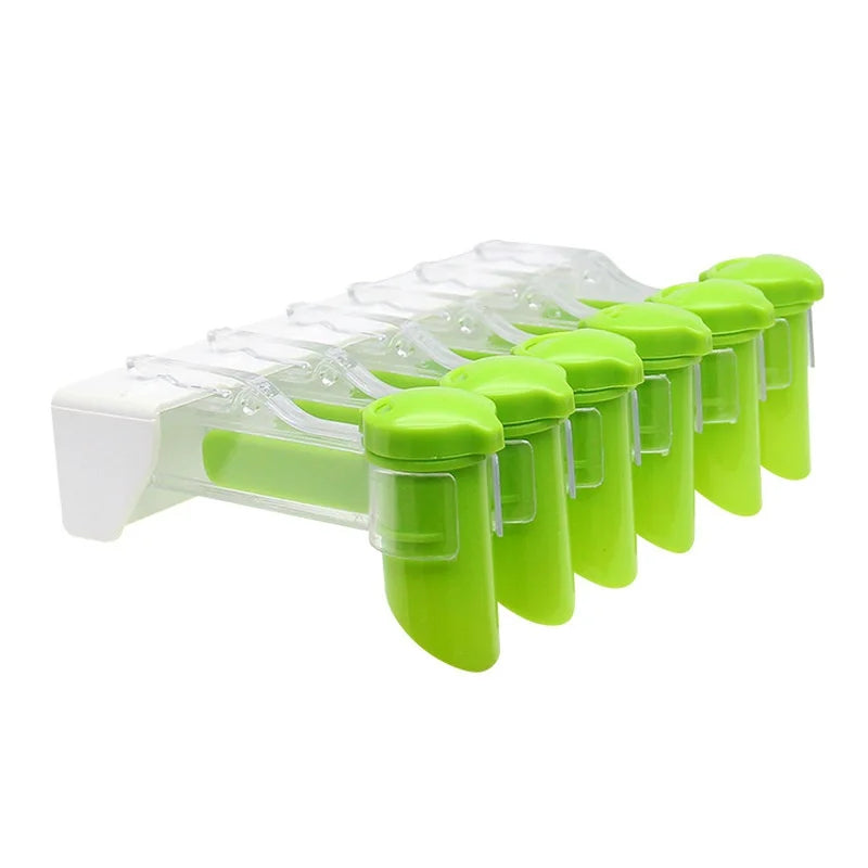 Wall Mounted Spice Bag Organizer with 6/10 Grids